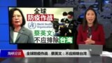 海峡论谈：全球防疫作战 蔡英文：不应排除台湾