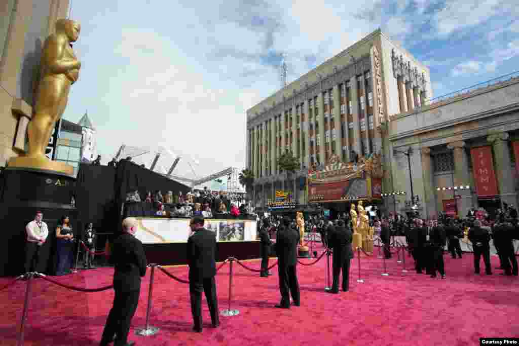 A view of the red carpet for the live ABC Telecast of The 86th Oscars® at the Dolby® Theatre on March 2, 2014 in Hollywood, CA. (Photo courtesy AMPAS)