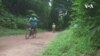 La forêt du Banco, un vaste parc forestier en plein cœur d'Abidjan