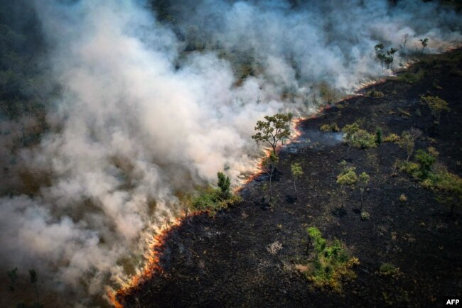 FILE - Aerial view of a burnt area in the Amazon rainforest near the Lago do Cunia Extractive Reserve in northern Brazil, on Aug. 31, 2022. (Photo by DOUGLAS MAGNO / AFP)