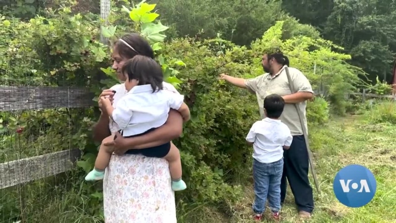 Age-Old Techniques at Hispanic-Owned Sustainable Farm