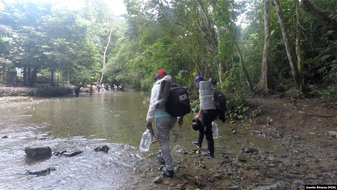 Sejumlah migran asal Venezuela memulai perjalanan mereka memasuki kawasan hutan dari Celah Darien yang berbahaya pada 15 September 2022. (Foto: VOA/Camilo Alvarez)