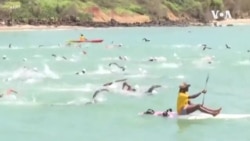 Gorée-Dakar à la nage, un spectacle époustouflant