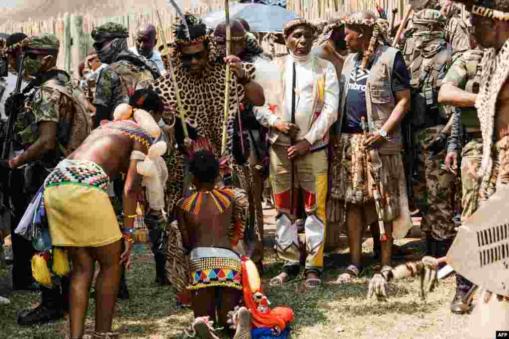 Zulu maidens present reeds to King of Amazulu nation Misuzulu kaZwelithini (C) during the annual Umkhosi Womhlanga (reed dance) at the Enyokeni Royal Palace in Nongoma, Sept. 17, 2022.