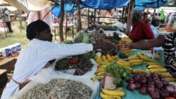 Lancement du fonds kenyan des débrouillards; baisse de la production du maïs sud-africain