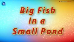 Thành ngữ tiếng Anh thông dụng: ‘Big fish in a small pond’