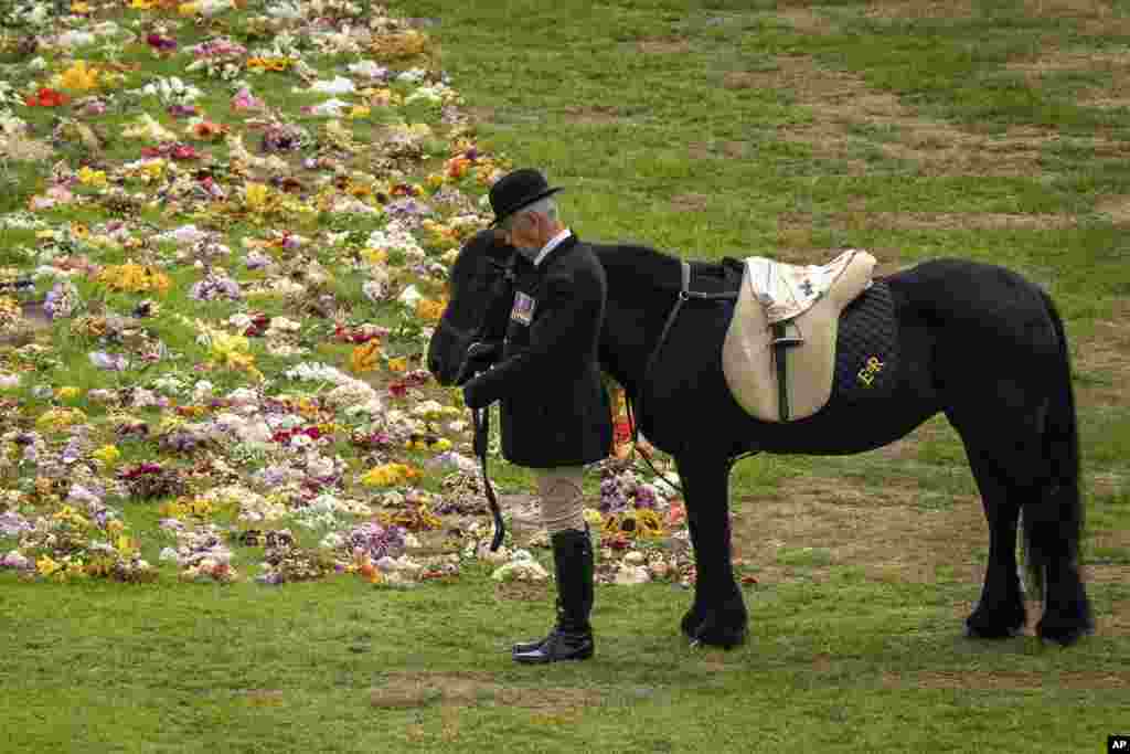 Emma, the monarch&#39;s fell pony, watches the Ceremonial Procession of the coffin of Queen Elizabeth II arrives at Windsor Castle for the Committal Service at St. George&#39;s Chapel.