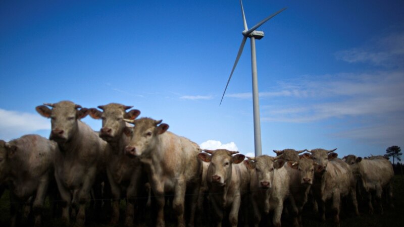 Report: Large Food Companies Face Big Losses Due to Climate Change