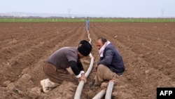 Iraqi Kurdish farmers install irrigation pipes on an agricultural land in the village of Bajid Kandala, situated on the banks of the Tigris river, some 50km west of the northern Iraqi city of Dohuk, on Feb. 18, 2022.