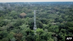 FILE: This aerial view shows trees in the Yangambi forest with the flux tower, 100 km from the city of Kisangani, in the Tshopo province, northeast of the Democratic Republic of the Congo. Taken September 2, 2022. 
