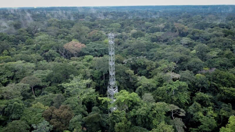 Avant la COP27, une marche pour le climat et contre le pétrole à Kinshasa