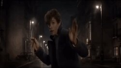 © http://giphy.com/gifs/trailer-fantastic-beasts-and-where-to-find-them-l2JdW6dDEcGG5Chqg