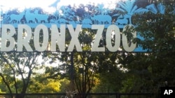 FILE - An entrance to the Bronx Zoo in New York. A tiger at the zoo has tested positive for the new coronavirus.