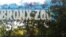 FILE - An entrance to the Bronx Zoo in New York. A tiger at the zoo has tested positive for the new coronavirus.