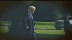 اخبار شامگاهی