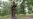 US Cities Debate Fate of Confederate Statues