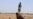 26 Tewas dalam Serangan Militan Niger