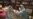 16x9 Image