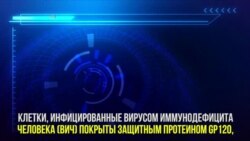 Экспериментальная вакцина против ВИЧ