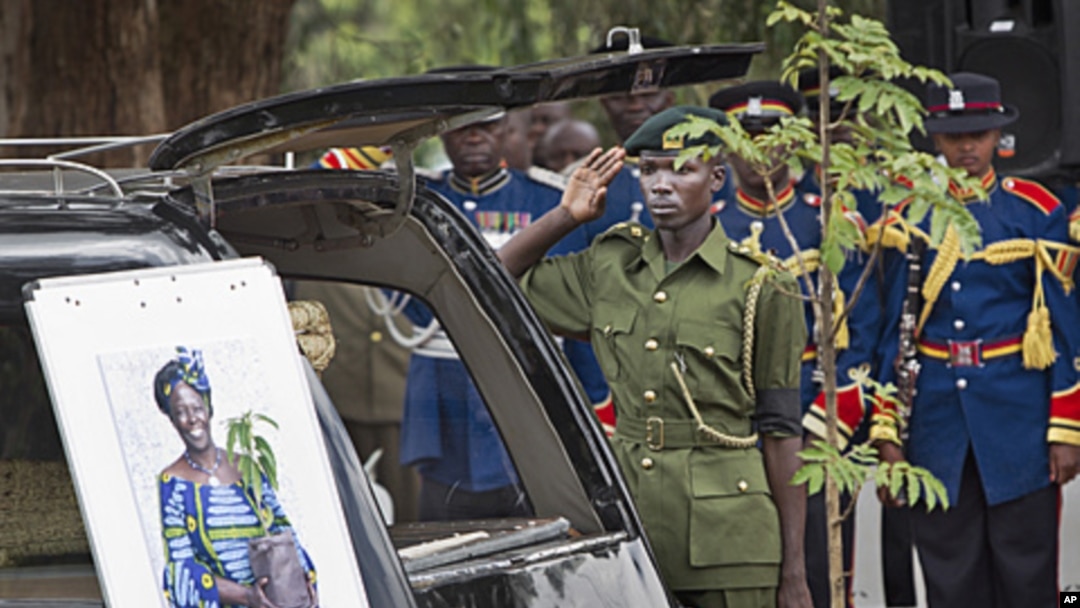 A member of the Kenya Forest Service salutes the late Wangari Maathai next to the hearse carrying her coffin, at her state funeral held at Freedom Corner in Uhuru Park, Nairobi, Kenya, October 8, 2011.