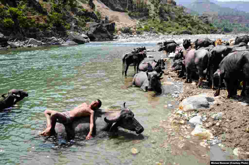 Sharafat dries off after a swim in the Yamuna River.