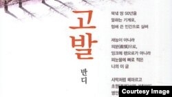 북한의 반체제작가인 ‘반디’의 단편소설집 ‘고발’ 책표지.