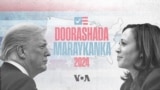 Soomaalida Virginia iyo doorashada Mareykanka 