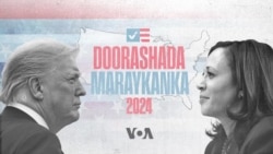 Soomaalida Virginia iyo doorashada Mareykanka 