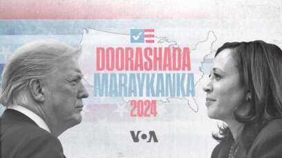 Soomaalida Virginia iyo doorashada Mareykanka 