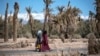 Passantes dans l'oasis marocaine de Skoura près des montagnes de l’Atlas, 27 janvier 2020. (Photo Fadel Senna/AFP)