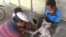 Petugas Kesehatan Hewan Dinas Pertanian dan Peternakan Kabupaten Poso melakukan vaksinasi Anjing di Kecamatan Lage. (Foto : Dinas Pertanian dan Peternakan Kabupaten Poso)