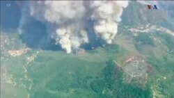 اخبار شامگاهی