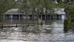 Florida: Huracán Milton provocó pérdidas de 190 millones de dólares en agricultura