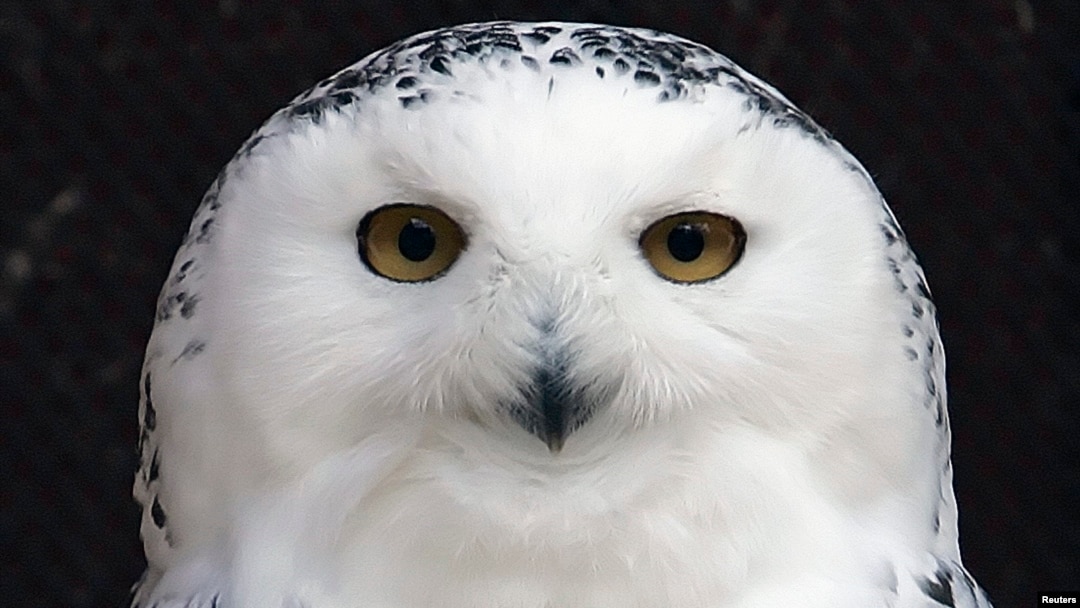 0cc77764-ca06-4a53-b4db-