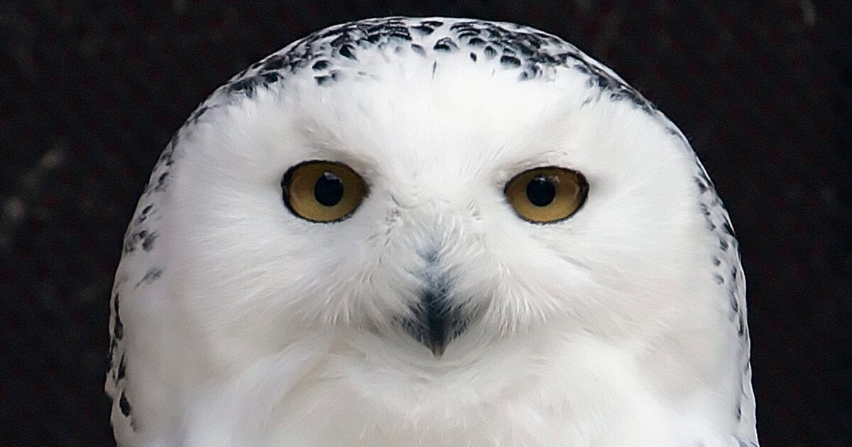 0cc77764-ca06-4a53-b4db-