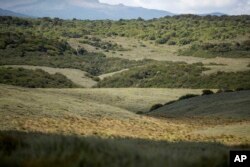 FILE - Moorland, a fragile area for water catchment, is visible of Aberdare National Park is visible in Nyeri, Kenya, January 24, 2024