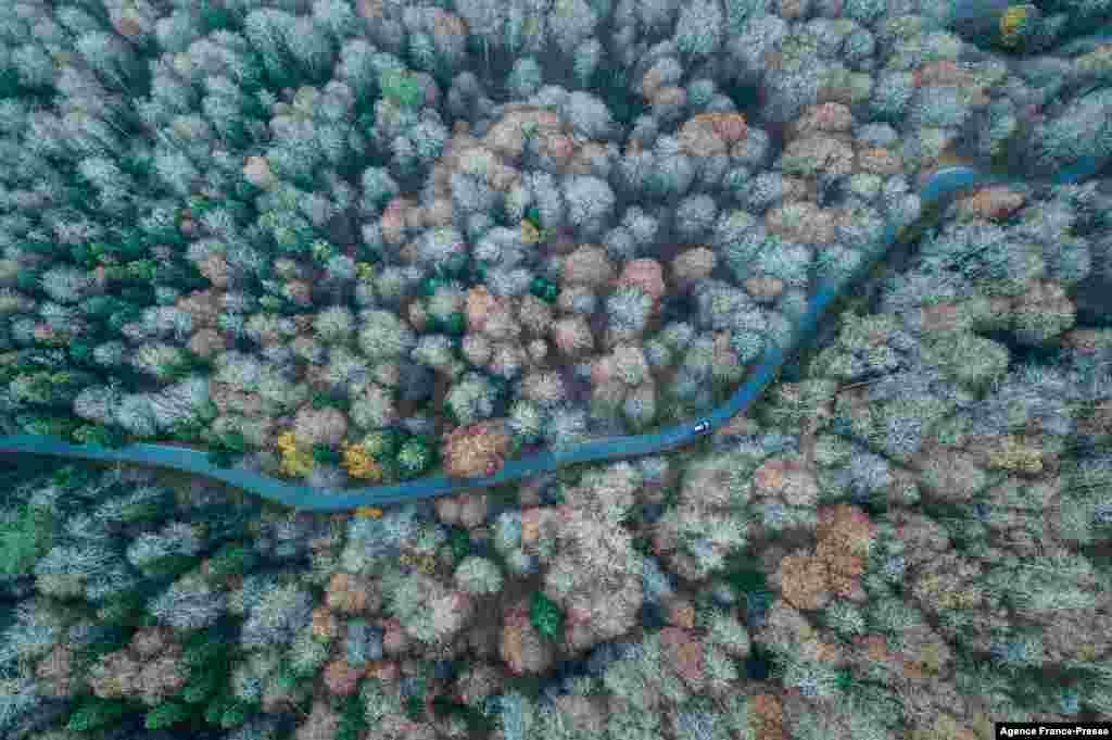 This aerial photograph shows a car driving on a road at Yedigoller National Park near Bolu district, Turkey, Nov. 9, 2021.