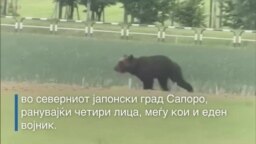 Убиена мечка во Јапонија