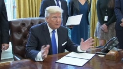 Trump Signs Executive Orders on DAPL, Keystone Pipeline