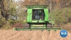 Despite Trade Uncertainty, Many US Farmers to Back Trump in 2020
