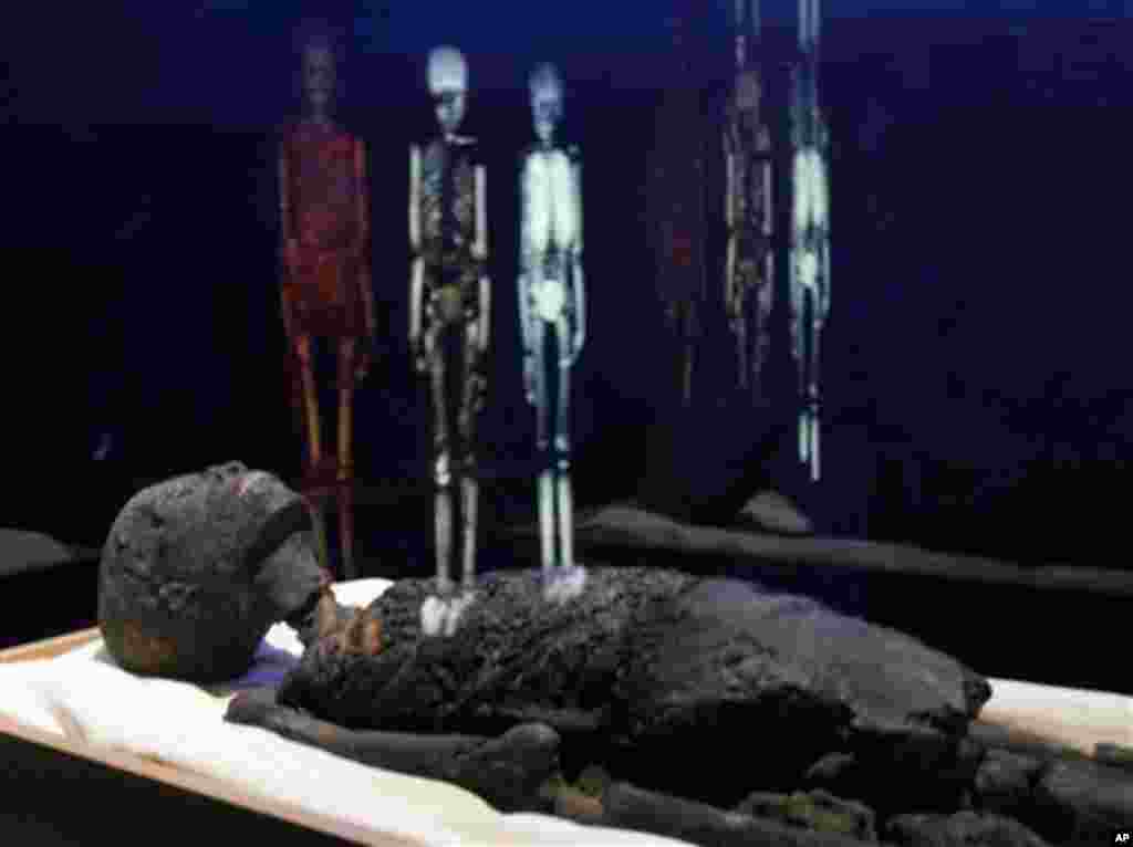 Photos of body scans of King Tut are reflected on the display case bearing the "Replica of Tutankhamun's Body," part of the "Tutankhamun and the Golden Age of the Pharoahs" exhibit in New York, Wednesday, April 21, 2010. Recent CAT scans and DNA tests rev