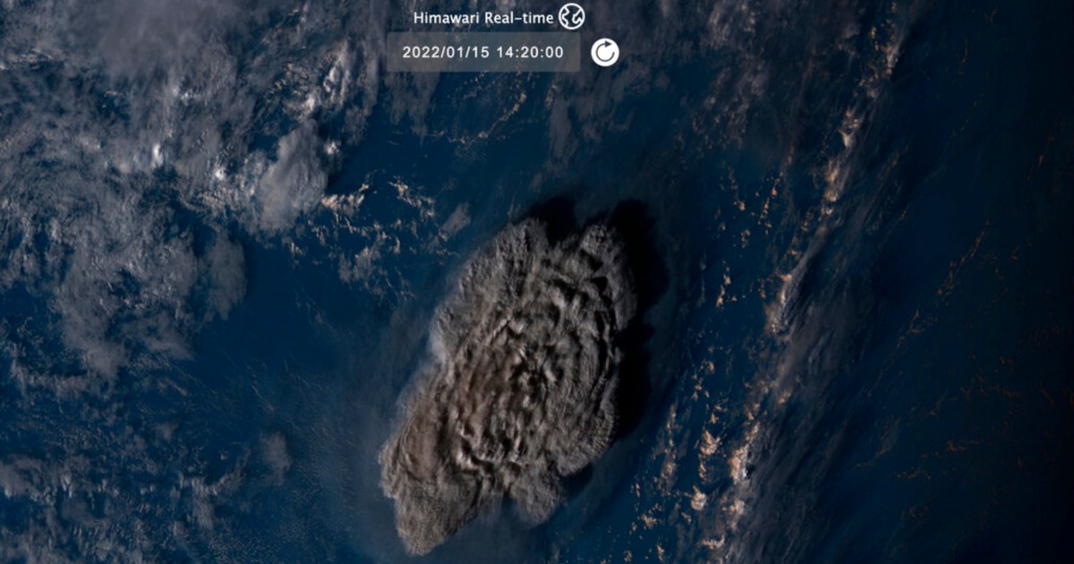 0d167606-8d6a-4f69-b929-