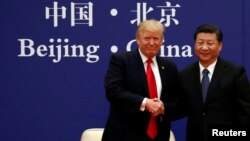 U.S. President Donald Trump and China's President Xi Jinping meet at the Great Hall of the People in Beijing, Nov. 9, 2017.