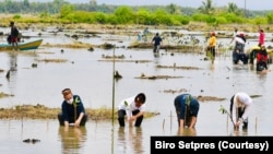 Presiden Jokowi (ketiga dari kiri) bersama para Duta Besar negara sahabat melakukan penanaman kembali mangrove di Desa Bebatu, Kalimantan Utara, pada 19 Oktober 2021. Jokowi memasang target untuk merehabilitasi sebanyak 600 hektare lahan mangrove. (Foto: Biro Setpres)