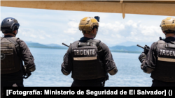 Las incautaciones de droga en El Salvador pasaron de 3,6 toneladas decomisadas en 2023 a 17,2 en 2024. [Fotografía: Ministerio de Seguridad de El Salvador]