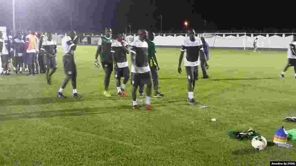 Lions na Senegal a Gabon. (VOA/Amedine Sy)