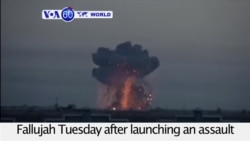 VOA60 World PM - Iraq: Government forces clear areas around Fallujah