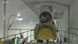 TEC: Bolsa compostable de papitas fritas
