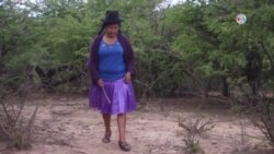 Efectos del cambio climático en Bolivia