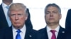 Trump Congratulates Hungarian Leader on Re-election